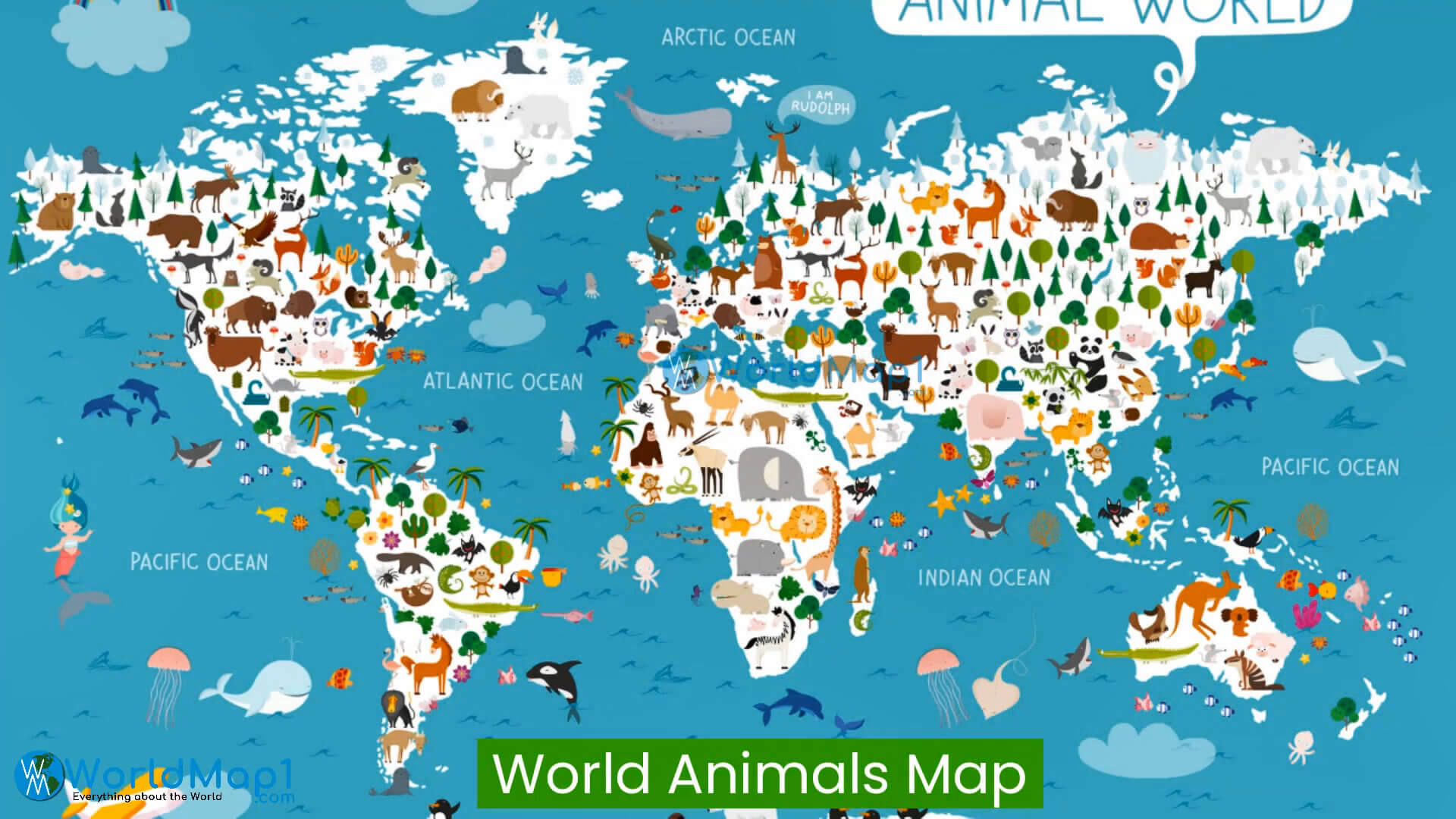 Carte des animaux du monde